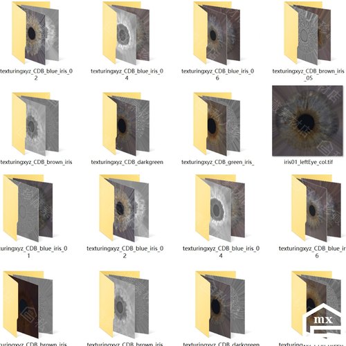 18款XYZ经典眼球虹膜颜色高度置换贴图影视次世代角色眼睛贴图237