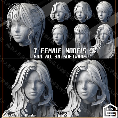 MAYA/C4D/3dmax/Blender美女头部脸部眼睛头发毛发插片3D模型fbx