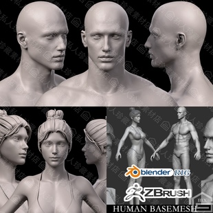 zbrush blender写实男女美女帅哥头部角色绑定骨骼高模人体3D模型