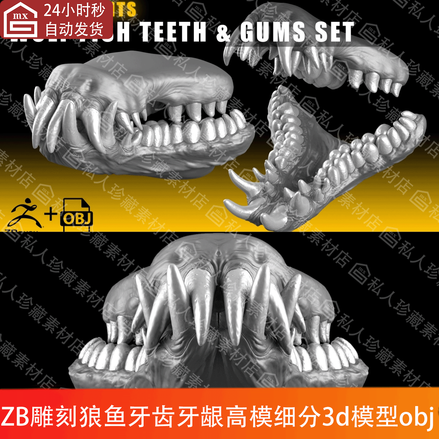 zbrush海洋生物狼鱼牙齿牙龈雕刻3d模型ztl上下颚牙高模obj可打印