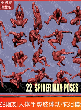 ZBrush雕刻人体人物手势肢体动作肌肉造型3d模型ztl细分高模stl