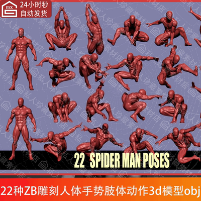 ZBrush雕刻人体人物手势肢体动作肌肉造型3d模型ztl细分高模stl