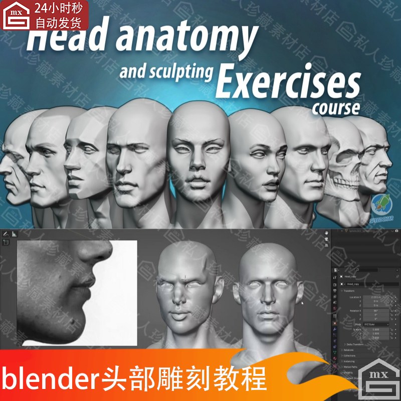 Blender人头部头像肖像解剖学雕刻雕塑cg角色面部教程视频cg教程