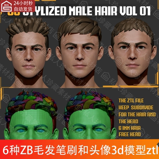 zbrush风格化男性发型头发毛发imm笔刷zb帅哥头像头部3D模型ztl
