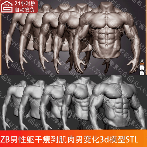 zbrush男性躯干半身瘦子到肌肉男健美身体3d模型stl可打印素材ztl