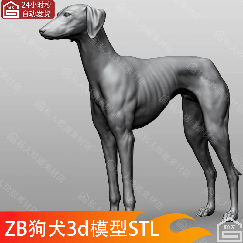 zbrush动物大型狗犬3d模型stl素材可打印高精度雕刻高模三维模型