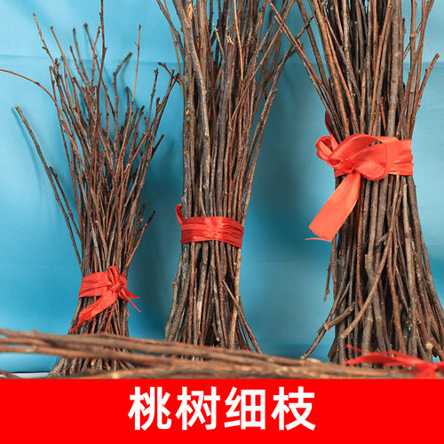 桃树细枝原枝红绳装饰