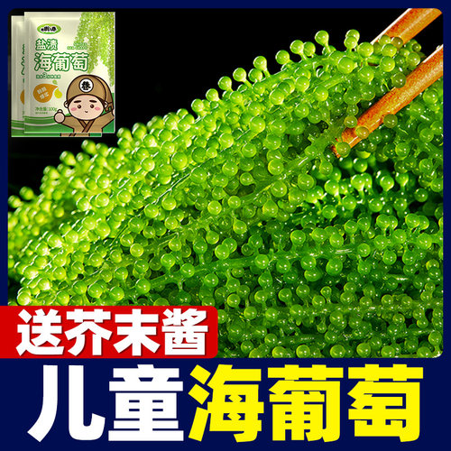 海葡萄口口爆浆海带七街八巷鲜香