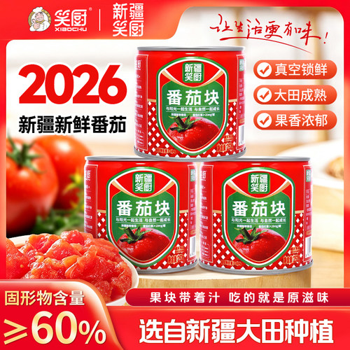 新疆笑厨番茄块0添加防腐剂