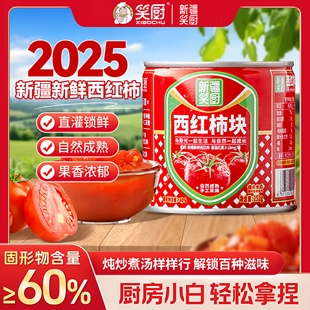 9罐 新疆新鲜西红柿块番茄罐头自然成熟0脂番茄红素252g 笑厨