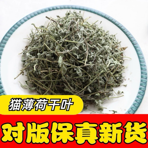 猫薄荷干叶克拉香草基地直供放心