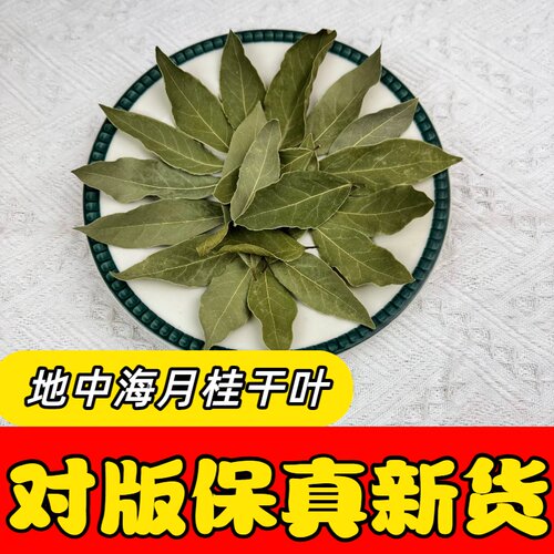 地中海月桂干叶低温烘干香叶香料