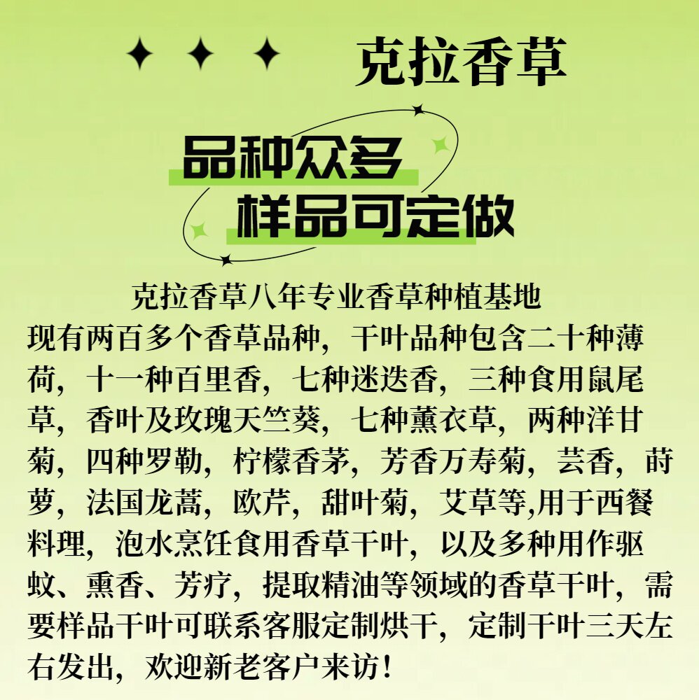 香草干叶可定做 薄荷迷迭香 烹饪料理香料多品种批发克拉香草基地