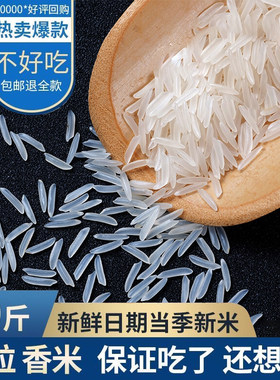 新米煲仔饭蛋炒饭猫牙米香米