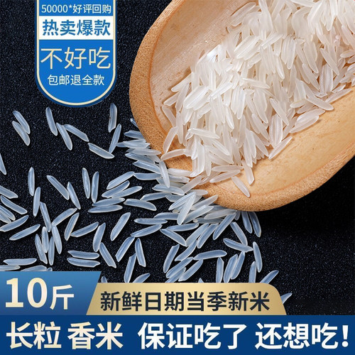新米煲仔饭蛋炒饭猫牙米香米