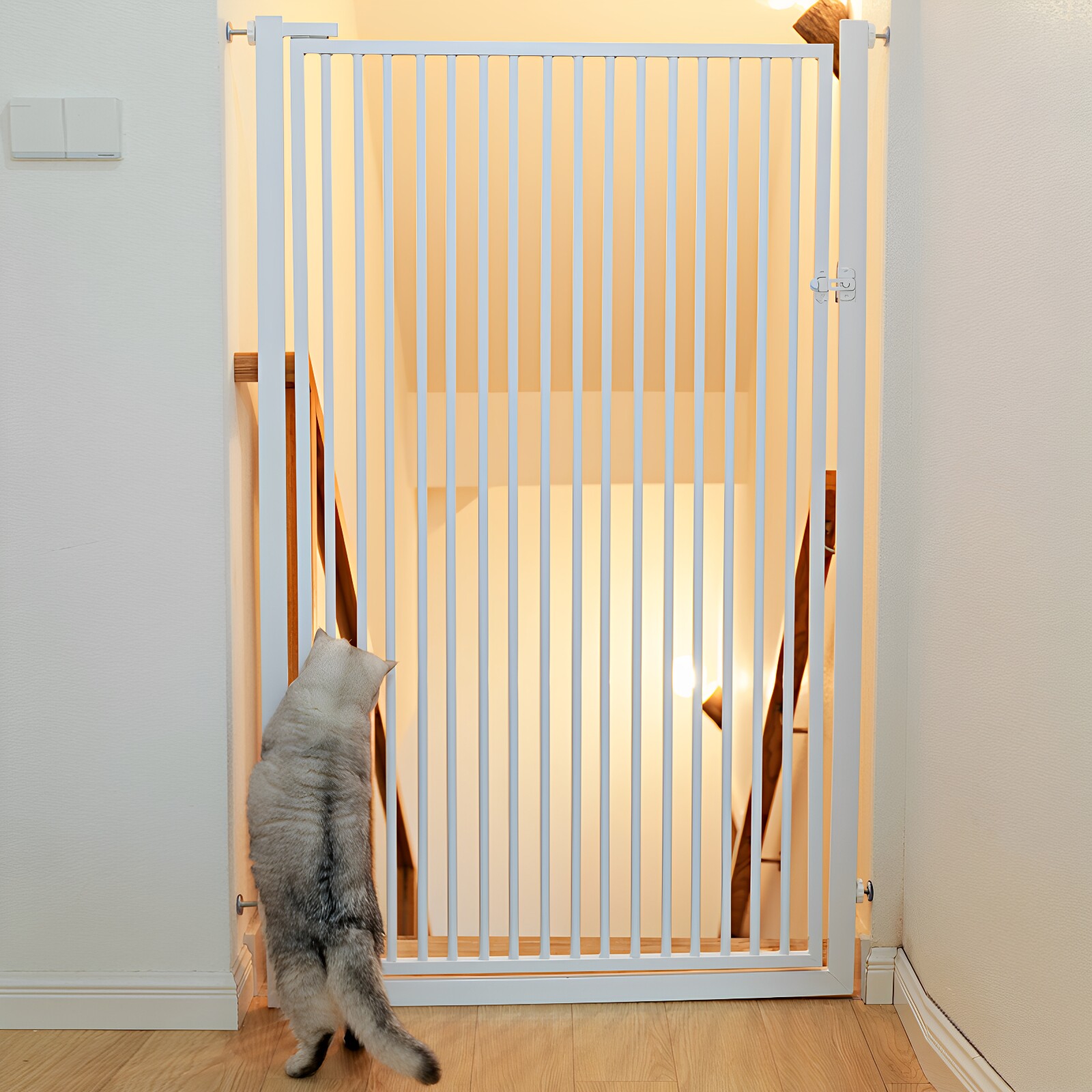 宠物围栏加高加密防猫神器跳不过