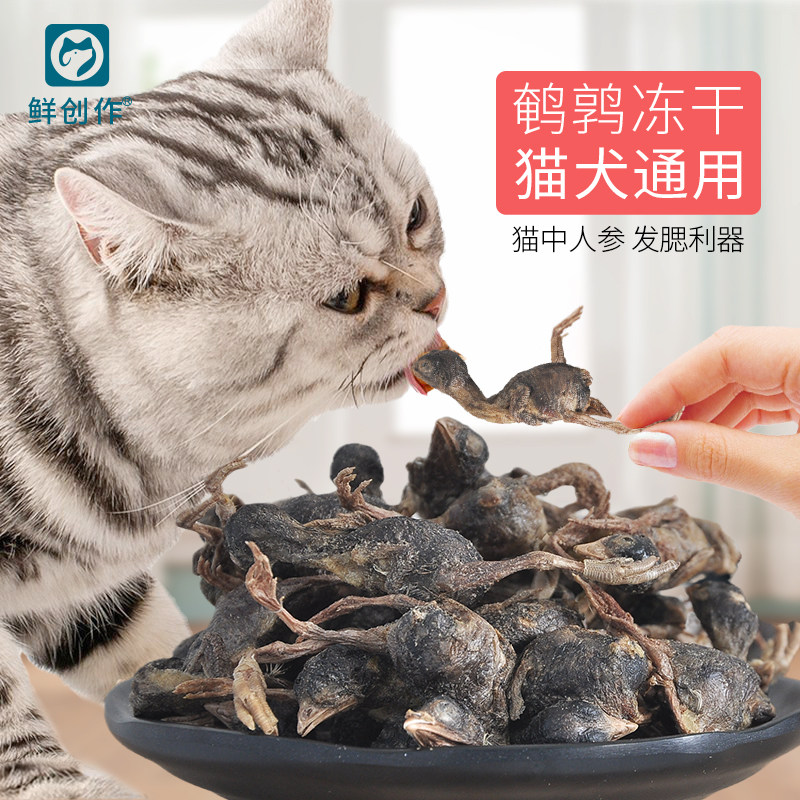 猫咪冻干零食鹌鹑冻干桶布偶幼猫营养增肥宠物猫零食礼包磨牙补钙,宠物/宠物食品及用品,猫零食罐,淘宝优惠券,粉丝福利购,淘宝优惠卷