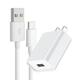 赢潜 适用网易有道词典充电器头快充A6pro/YDP035/031/032/G3-2/x3s阿尔法蛋Q3小天才翻译笔type-c数据线套装