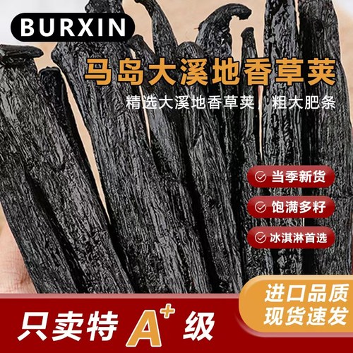 大溪地BURXIN香草荚马达加斯加