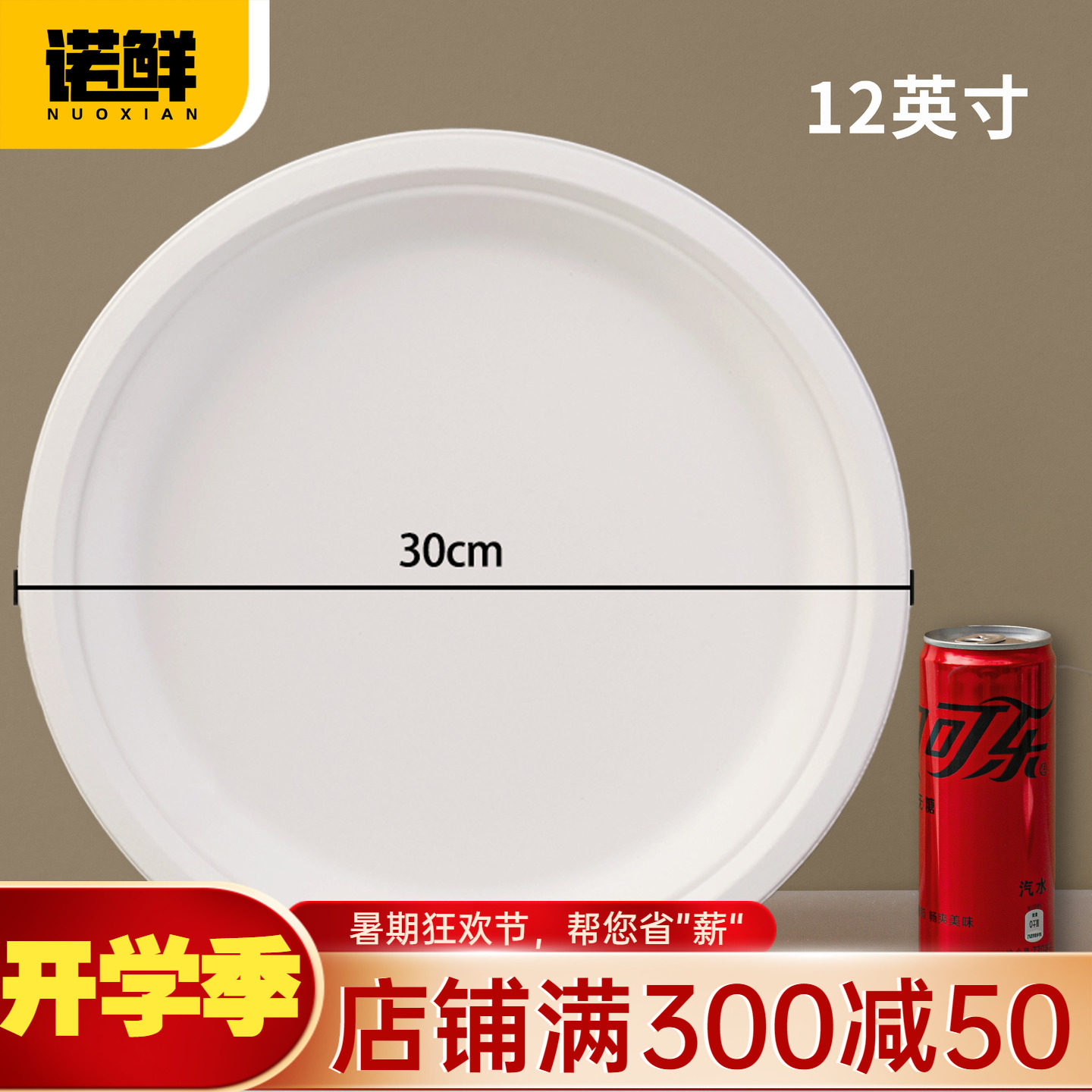 可降解纸盘圆盘餐盘蛋糕盘画画盘图片