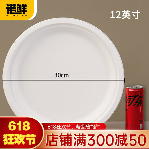 可降解纸盘圆盘餐盘蛋糕盘画画盘