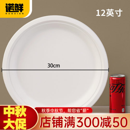 可降解纸盘圆盘餐盘蛋糕盘画画盘