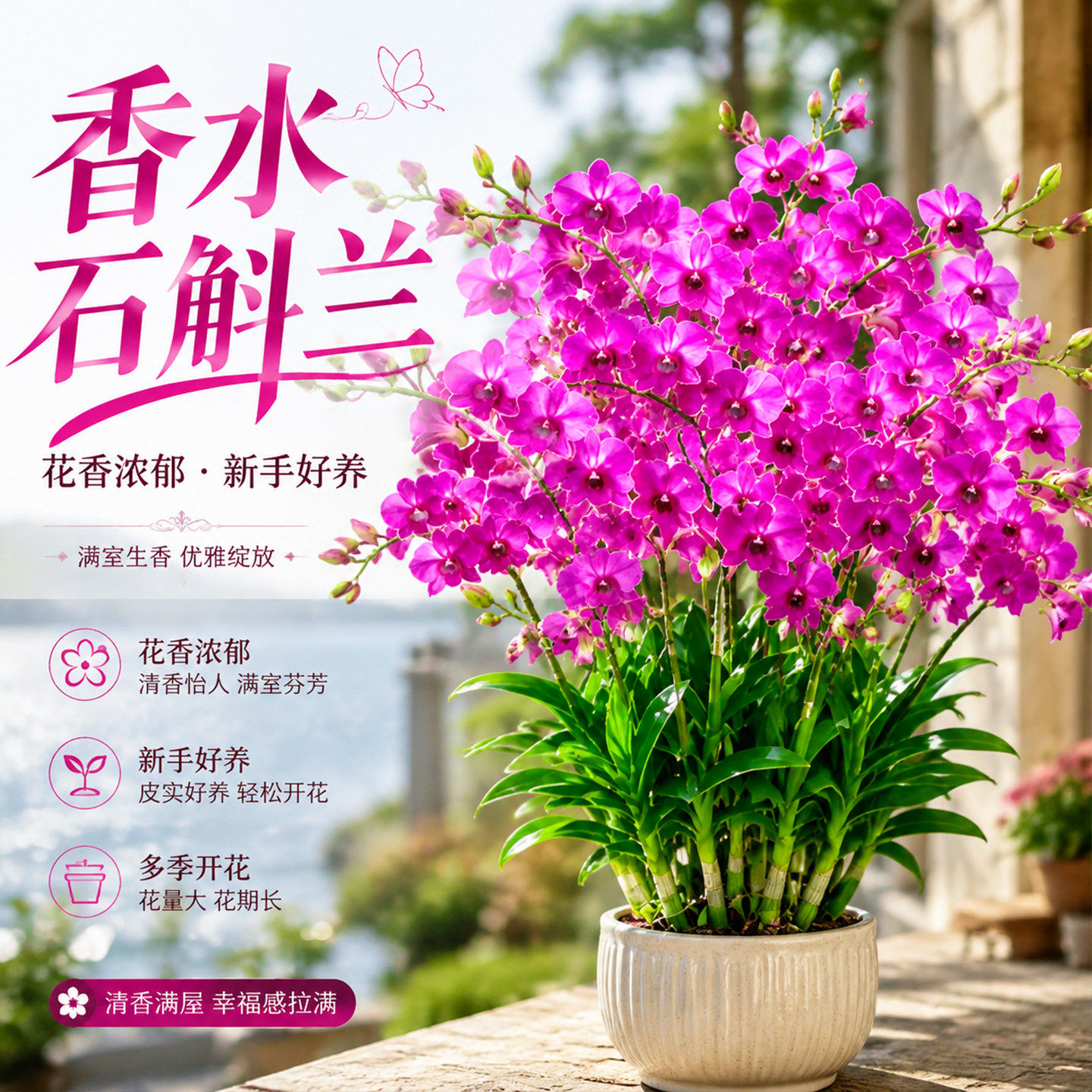 香水石斛兰盆栽带花苞特大号浓香型四季开花客厅室内观赏绿植花卉