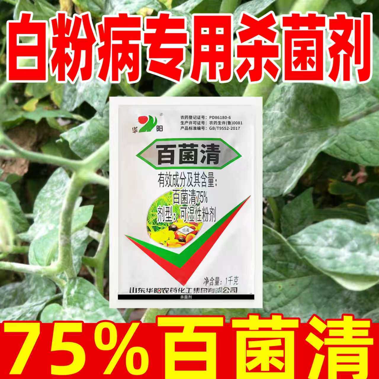 百菌清杀菌剂白粉病专用杀菌剂