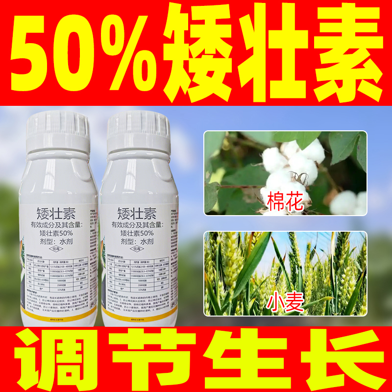 矮壮素生长调节剂防止倒伏小麦玉米植物生长调节剂