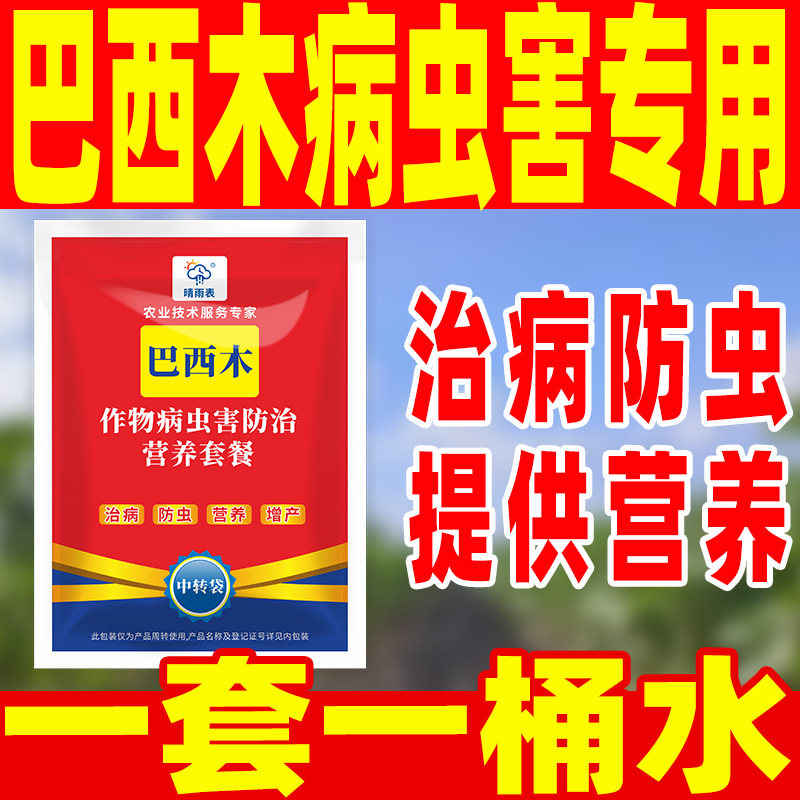 花卉巴西木专用病害防控套餐花卉巴西木病害防控专用药套餐巴西木