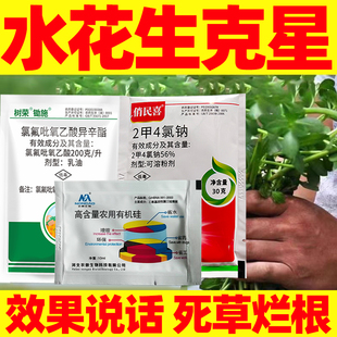 水花生克星烂根剂氯氟吡氧乙酸强专除水花生套餐力2甲4氯化钠除草
