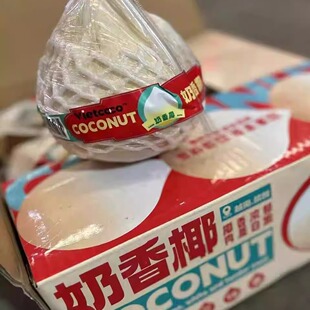 【顺丰包邮】越南进口奶香椰皇现摘新鲜直发天然饮品炖鸡清甜
