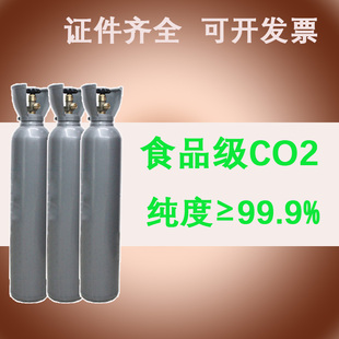 国标食品级二氧化碳钢瓶气罐 扎啤机可乐机 气泡苏打水专用10L