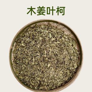 木姜叶柯多穗石柯甜茶叶嫩叶味道自然香甜味非降青钱柳刺儿茶三高