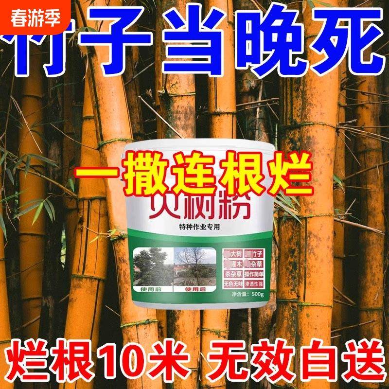 烂根除竹子专用药竹根连根除大树烂根粉强力灭竹根药剂灭根粉,户外/登山/野营/旅行用品,台钓饵,淘宝优惠券,粉丝福利购,淘宝优惠卷