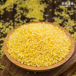 山西武乡羊粪小米2023新米米油孕妇月子小米真空养胃5斤0差评