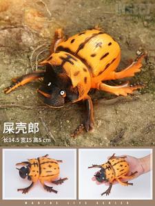 。儿童大号昆虫玩具仿真野生爬行B动物模型蜘蛛蜜蜂蚂蚁瓢虫蝎子