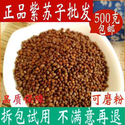 中药材紫苏子籽500g包邮苏子粒可磨食用熟紫苏籽粉烧烤 生苏子