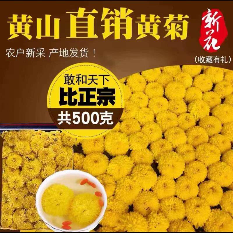 婺源皇菊大黄菊花茶徽州皇菊花非金丝皇菊胎菊杭白菊500克散装