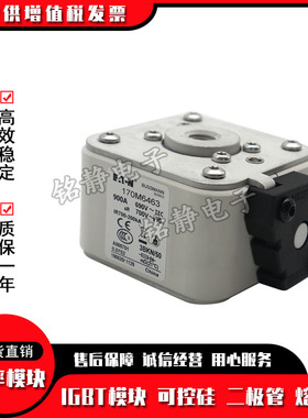 170M6463 170M6464 170M6465 170M6466 170M6467巴斯曼熔断器