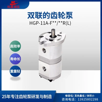 科昌新鸿型HGP-11A双联齿轮泵