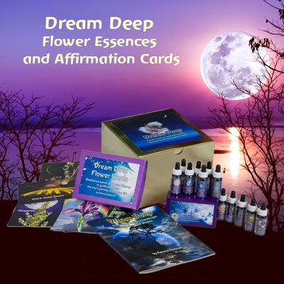 FES北美花精深梦套组12瓶7.5ml 12圣夜 圣诞节带领冥想课程