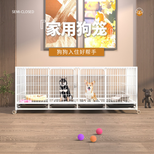 超大空间狗笼子宠物店狗围栏小型犬中型犬大型犬狗窝一室一厅一卫