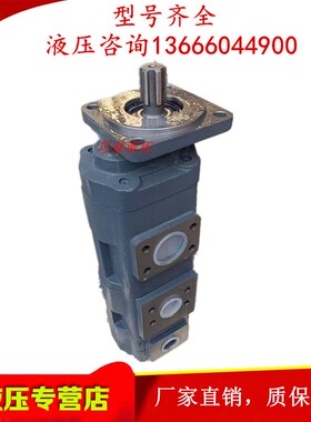 新款JHP2/2双联泵液压泵JHP2063/2050 JHP2063/2040 JHP2063/包邮