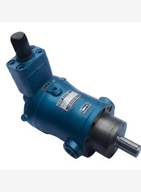 全新10YCY 25YCY 40YCY 63YCY 80YCY 100YCY 160YCY14-1B轴向包邮