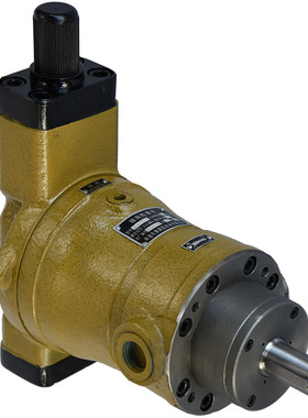 新款10YCY 25YCY 40MCY 63YCY 80YCY 100YCY 160YCY14-1B轴向包邮