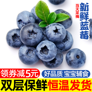 云南蓝莓新鲜果盒装应当季高山整箱水果包邮孕妇超大果酱时令大果