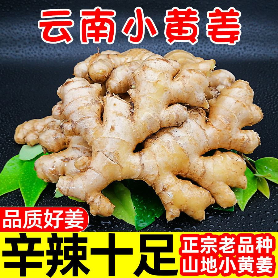 云南小黄姜新鲜生姜5斤黄姜老姜干姜现挖农家蔬菜沙姜嫩姜10包邮