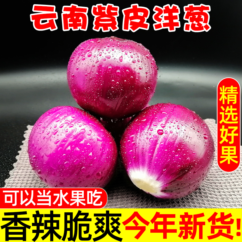 紫皮洋葱云南农家新鲜现挖应季