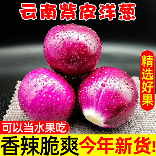 紫皮洋葱云南农家新鲜现挖应季
